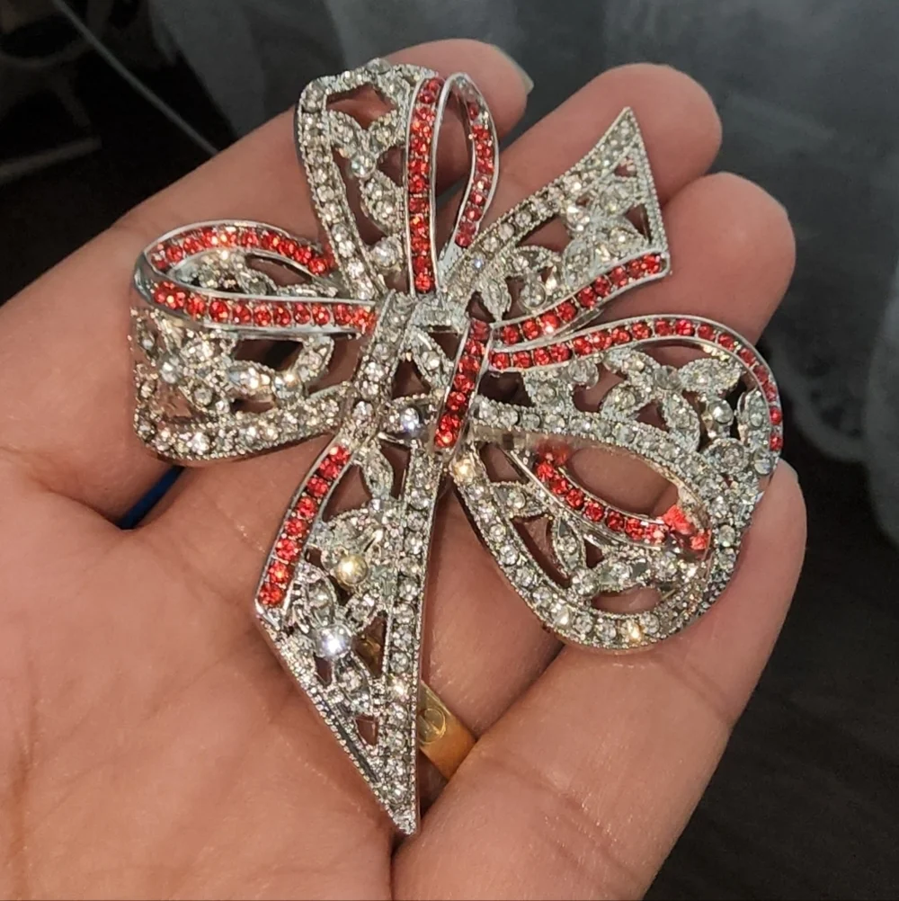 Elegant Silver and Red Brooch